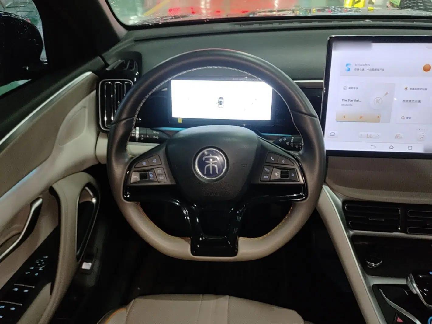 BYD Song Pro New Energy 2024 HONOR Edition DM-i 110KM Excellence Model — миниатюра 13