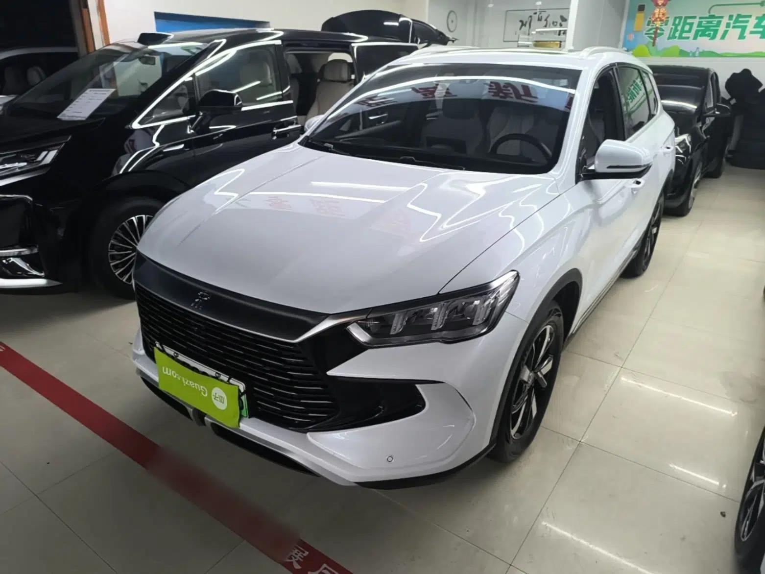 BYD Song Pro New Energy 2023 Champion Edition DM-i 71KM Leading Model — миниатюра 1