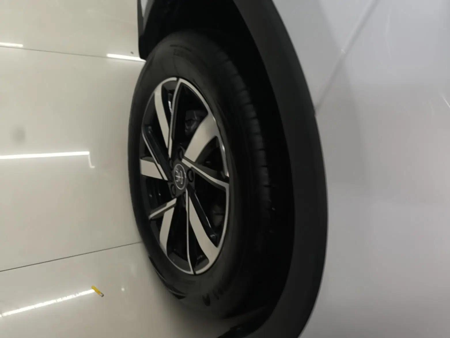 BYD Song Pro New Energy 2023 Champion Edition DM-i 71KM Leading Model — миниатюра 11