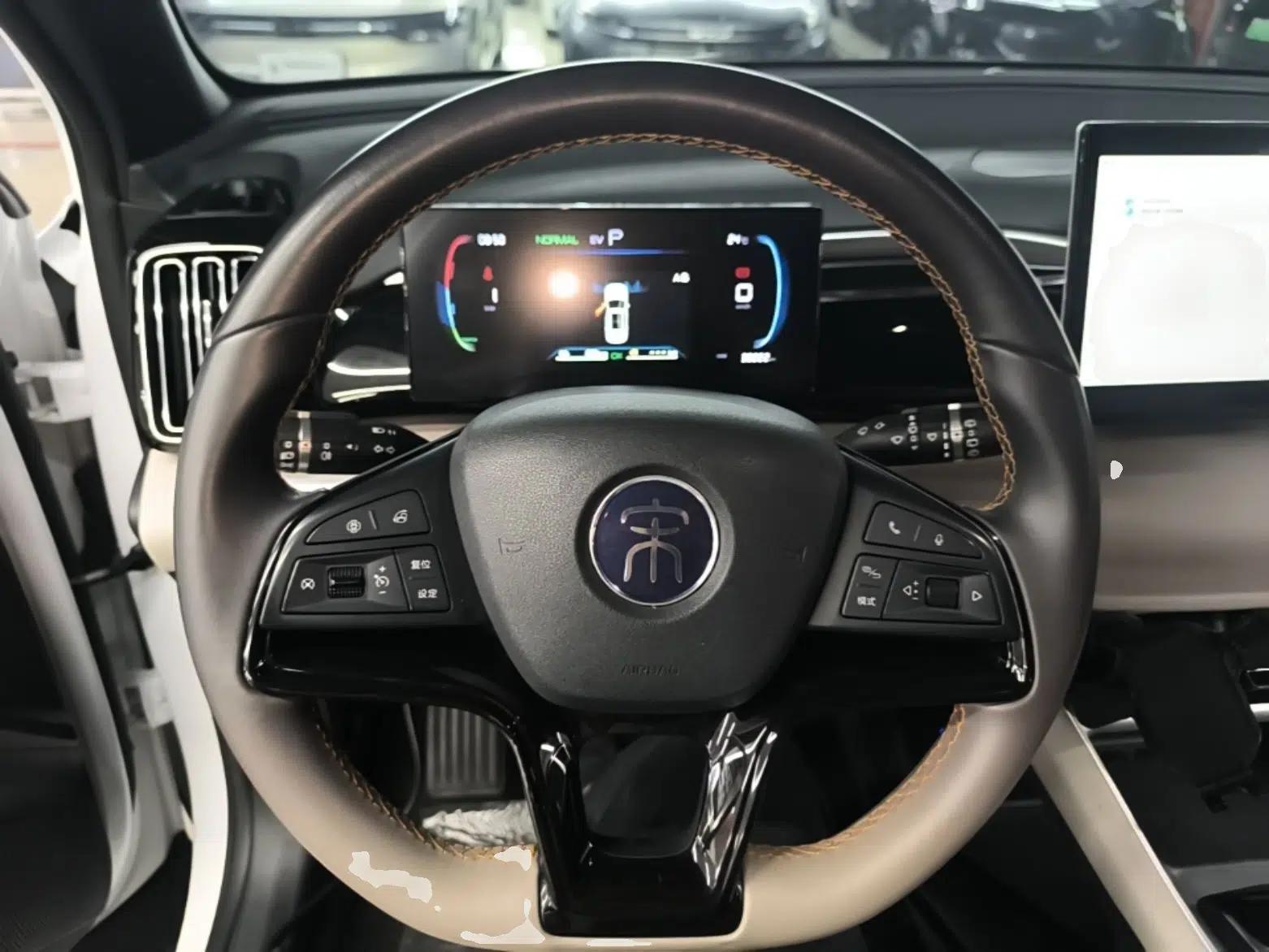 BYD Song Pro New Energy 2023 Champion Edition DM-i 71KM Leading Model — миниатюра 13