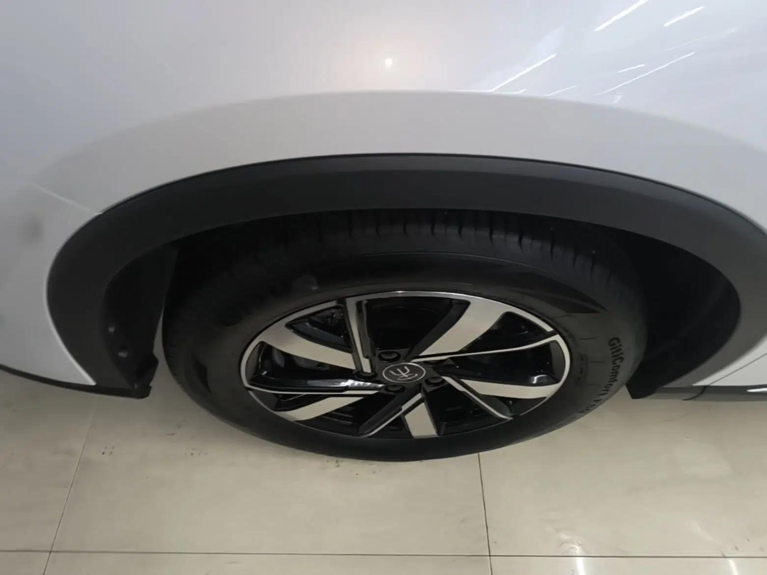 BYD Song Pro New Energy 2023 Champion Edition DM-i 71KM Leading Model — миниатюра 10