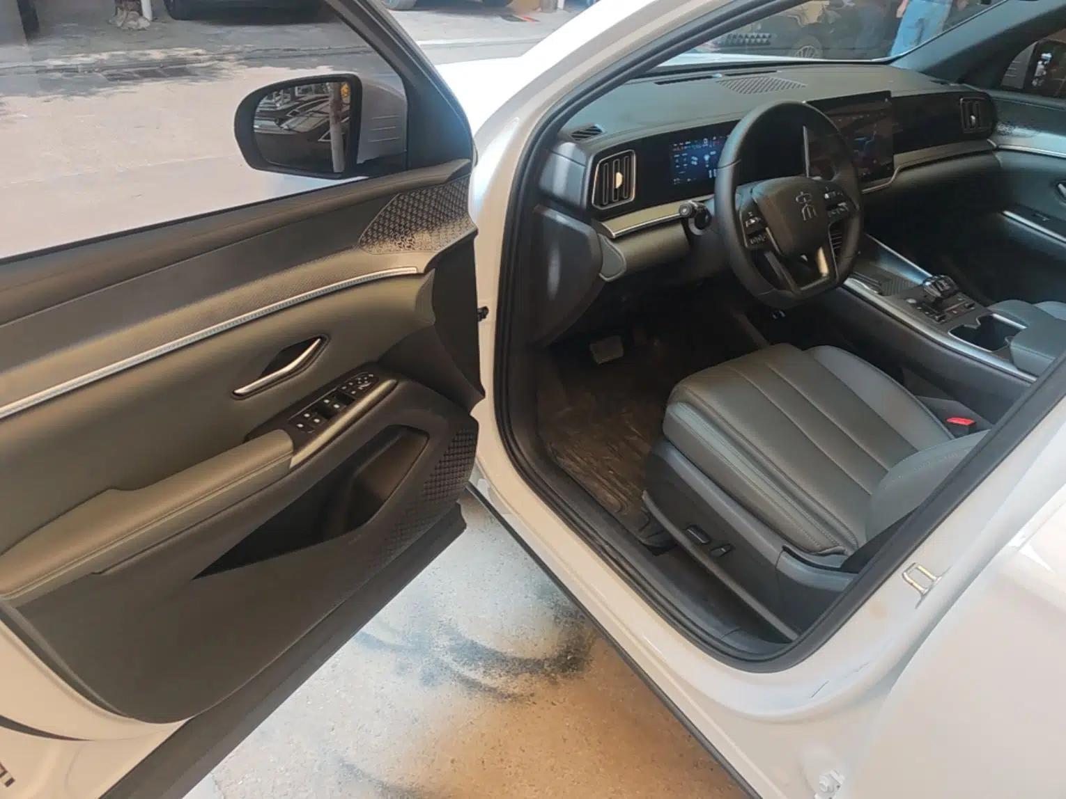 BYD Song Pro New Energy 2025 2nd Generation Intelligent Driving Version DM-i 75KM Leading Edition — миниатюра 18