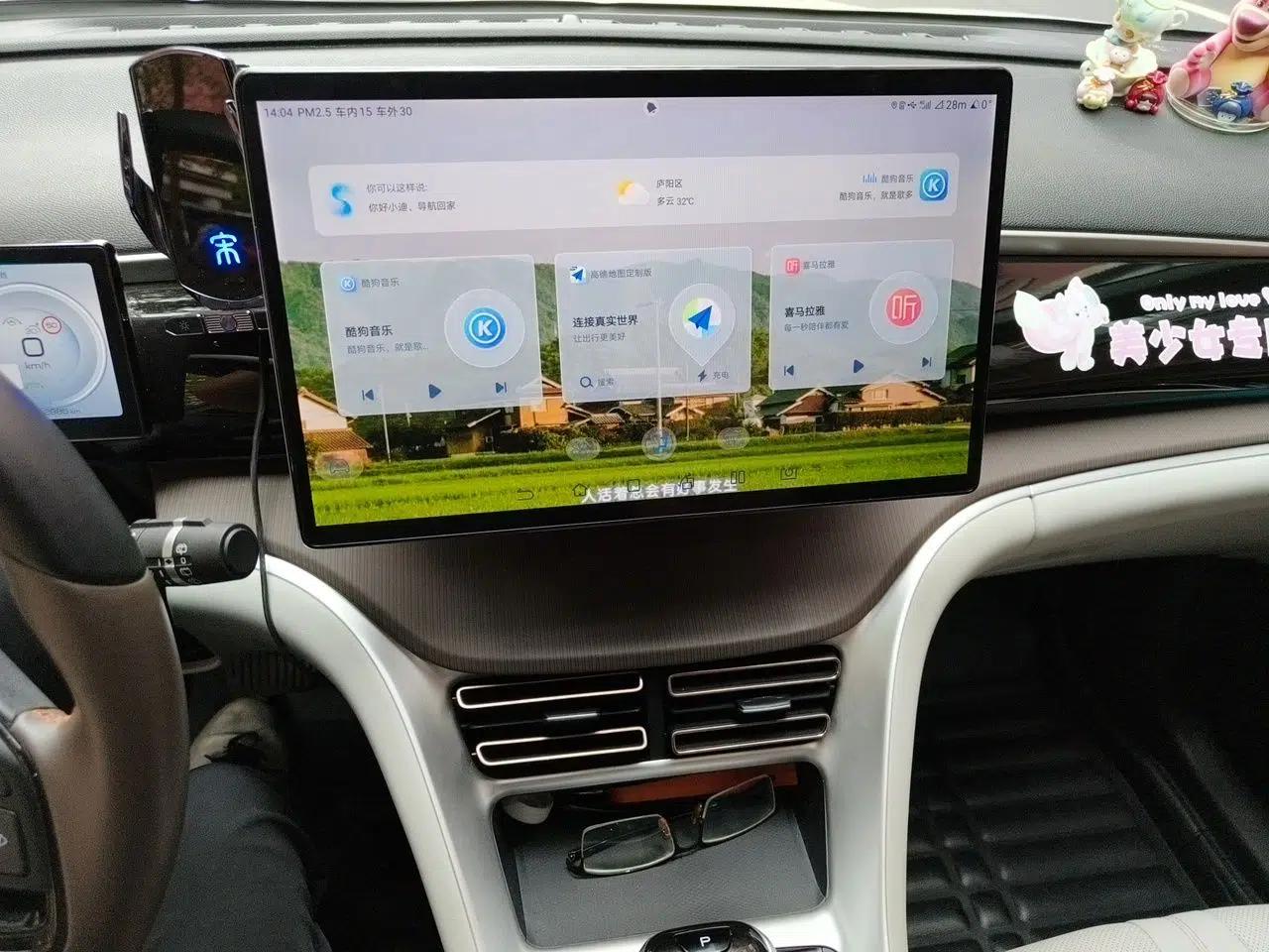 BYD Song Pro New Energy 2023 Champion Edition DM-i 110KM Excellence Model — миниатюра 13