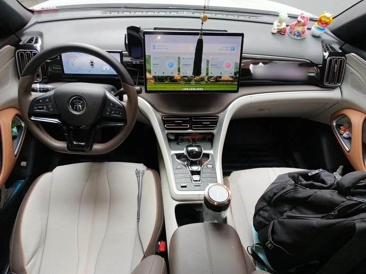 BYD Song Pro New Energy 2023 Champion Edition DM-i 110KM Excellence Model — миниатюра 9