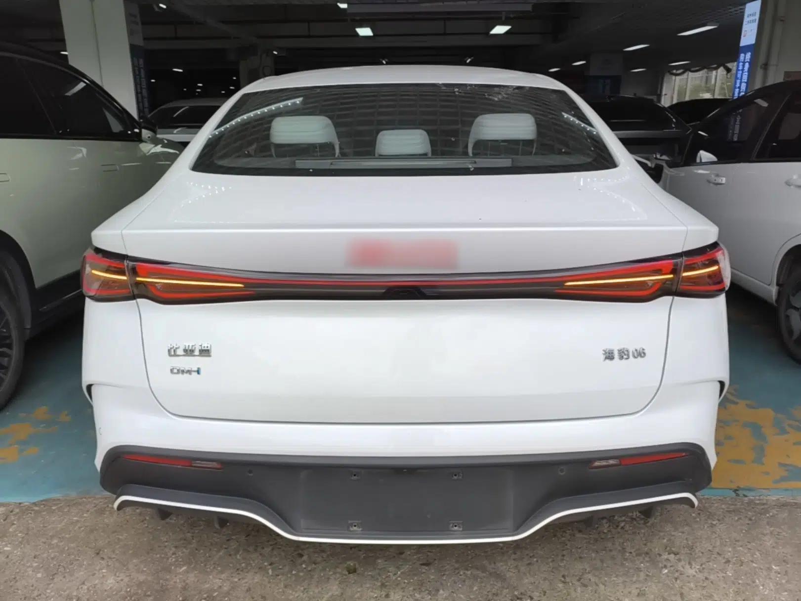 BYD Seal 06 New Energy 2024 DM-i 80KM Prestige Model — миниатюра 5