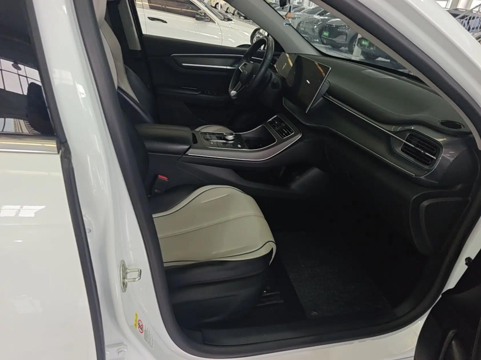 BYD Destroyer 05 2024 HONOR Edition DM-i 55KM Luxury Model — миниатюра 19