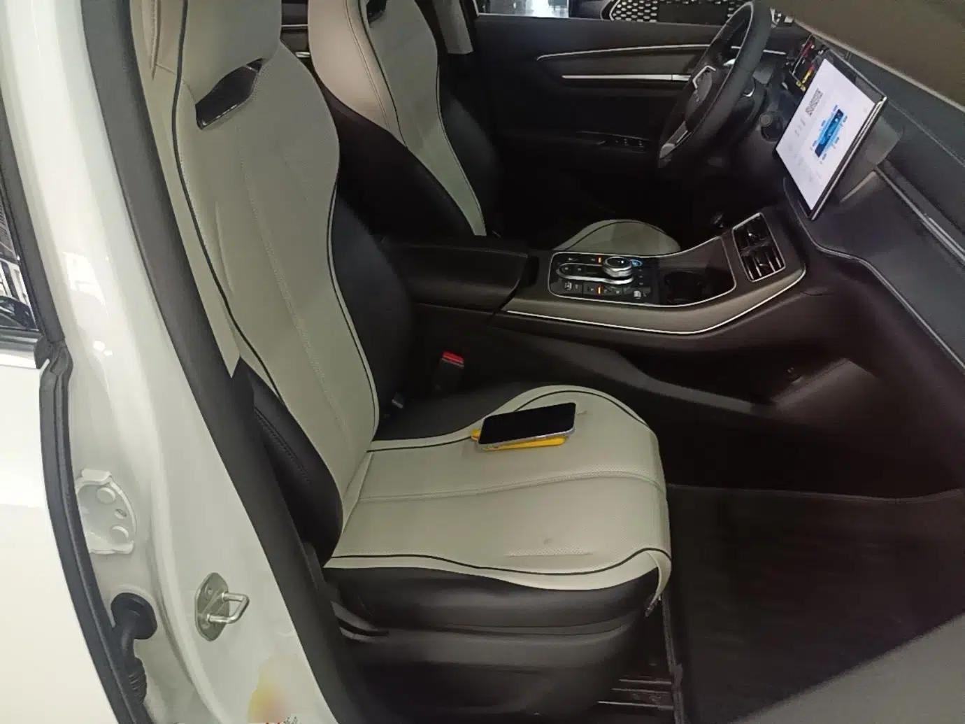 BYD Destroyer 05 2024 HONOR Edition DM-i 55KM Luxury Model — миниатюра 19
