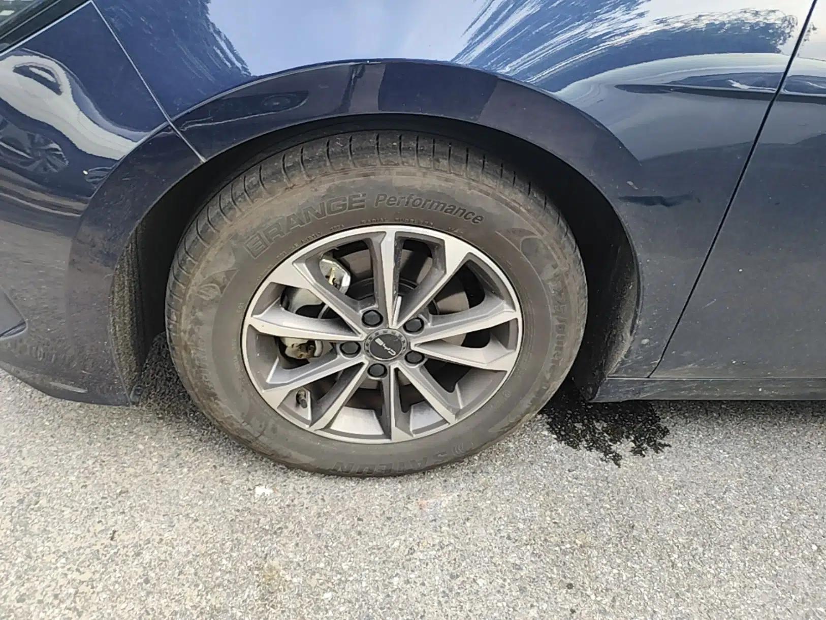 BYD Destroyer 05 2024 HONOR Edition DM-i 55KM Luxury Model — миниатюра 10