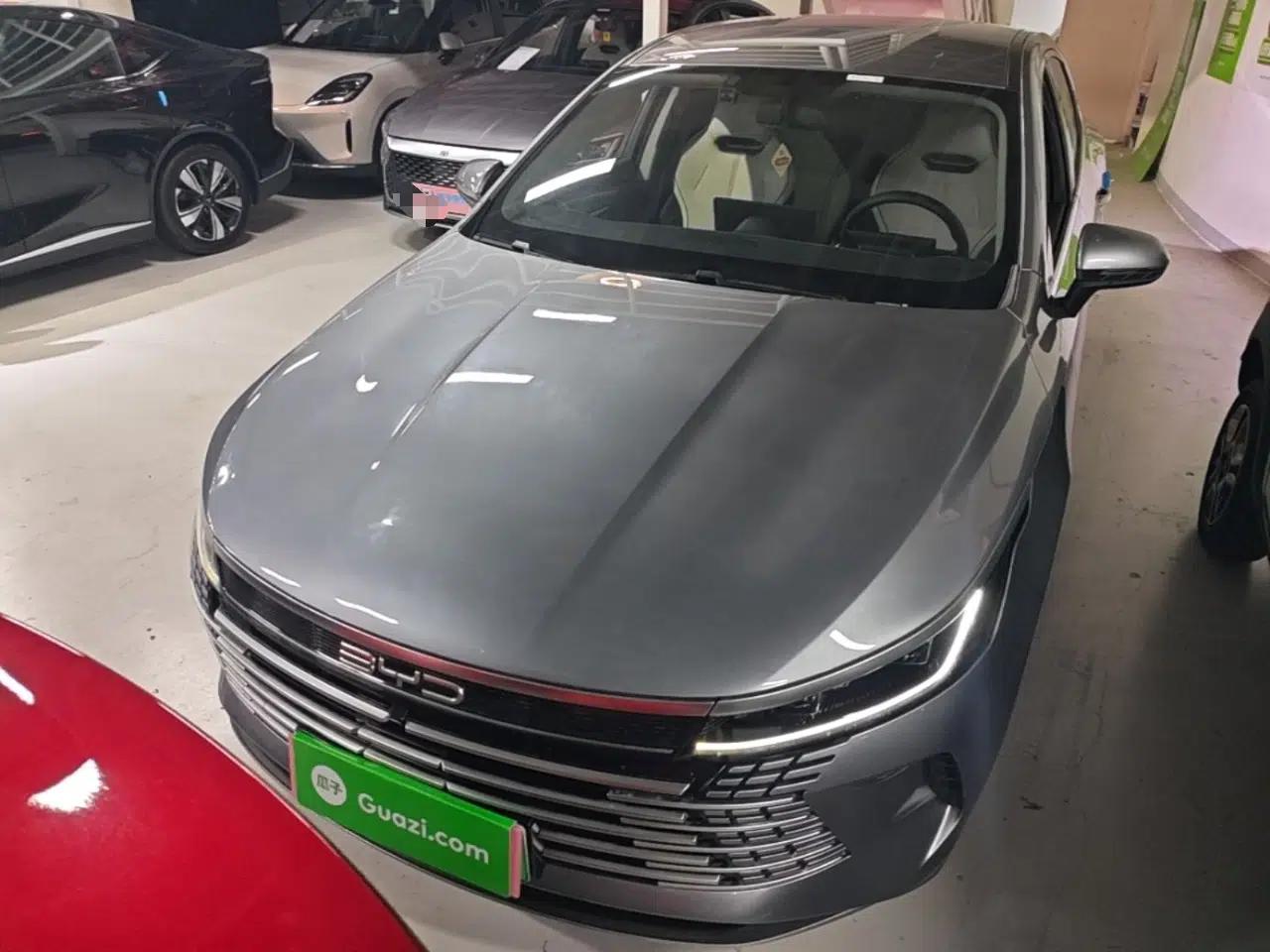 BYD Destroyer 05 2023 Champion Edition DM-i 55KM Luxury Model — миниатюра 2