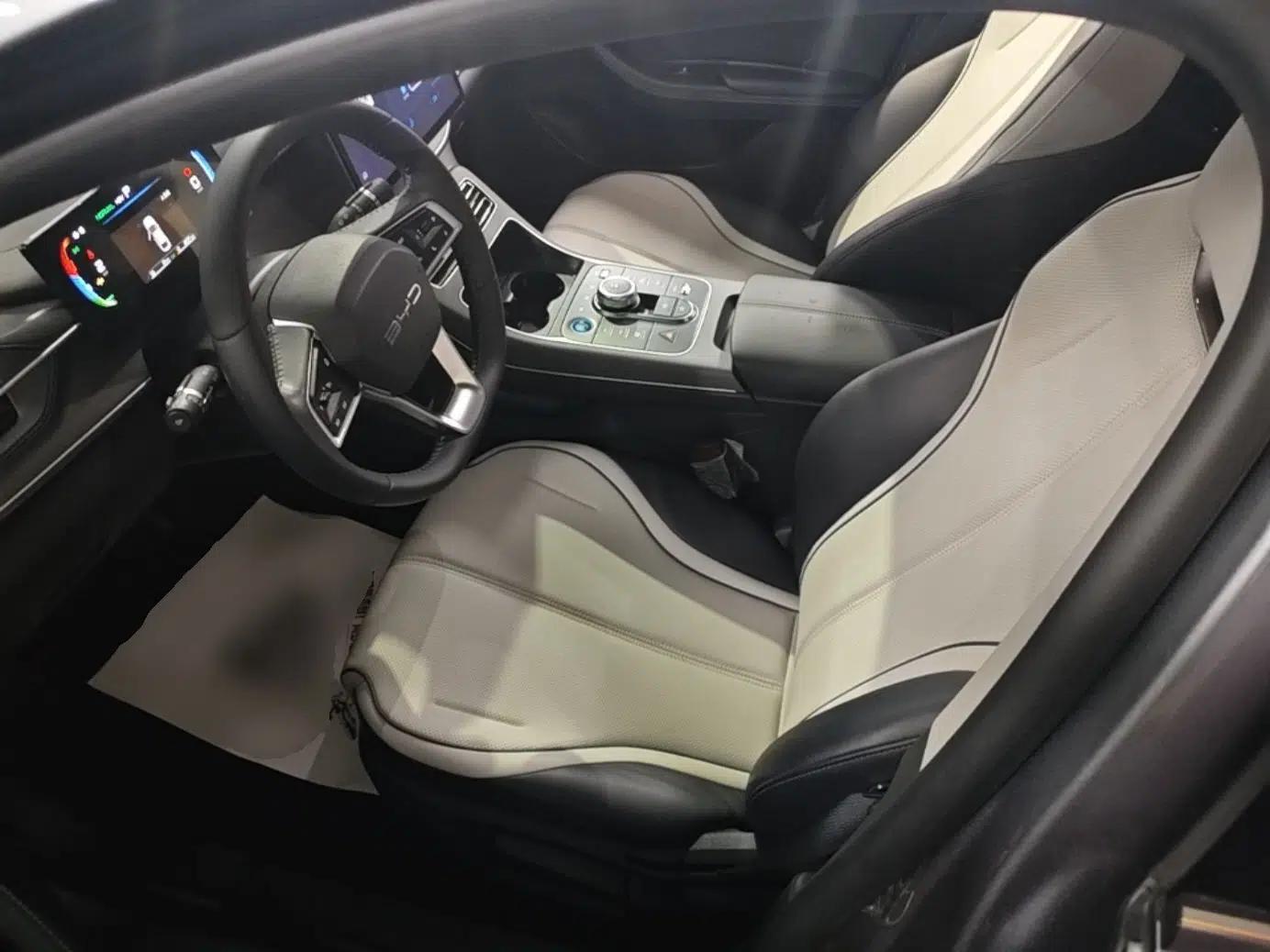 BYD Destroyer 05 2023 Champion Edition DM-i 55KM Luxury Model — миниатюра 17