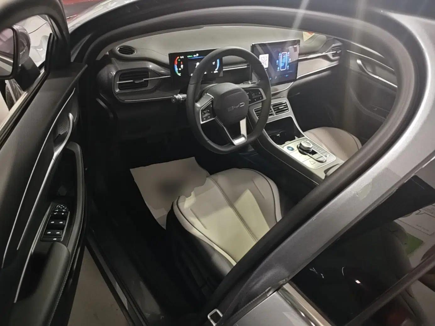BYD Destroyer 05 2023 Champion Edition DM-i 55KM Luxury Model — миниатюра 18