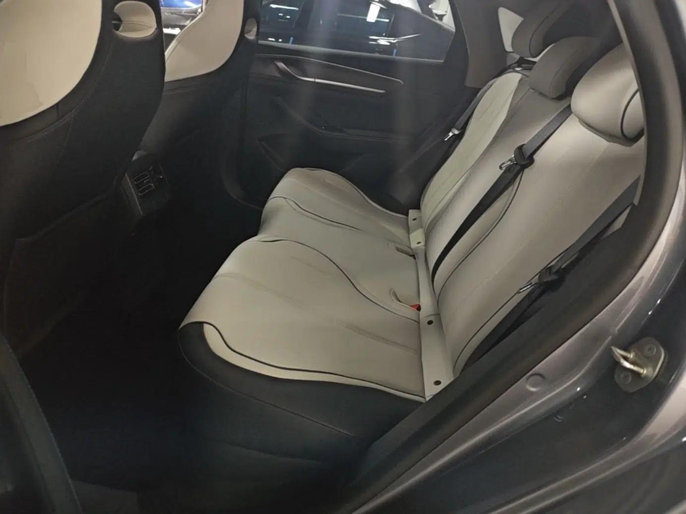 BYD Destroyer 05 2023 Champion Edition DM-i 55KM Luxury Model — миниатюра 20