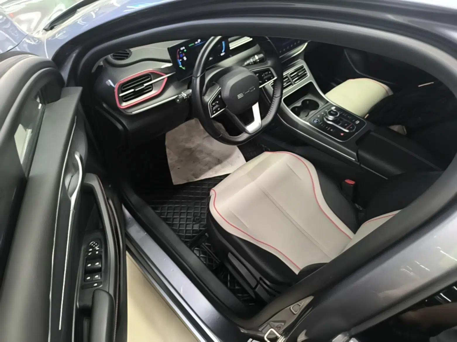 BYD Destroyer 05 2023 Champion Edition DM-i 55KM Luxury Model — миниатюра 18