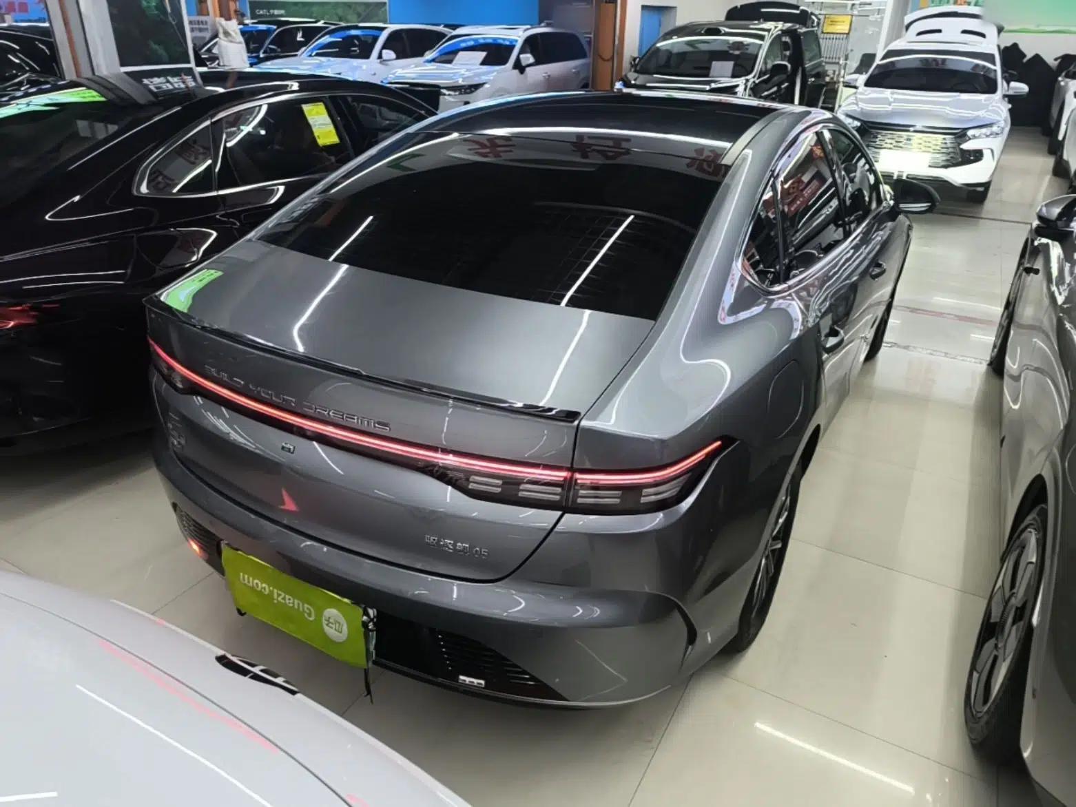 BYD Destroyer 05 2023 Champion Edition DM-i 55KM Luxury Model — миниатюра 6