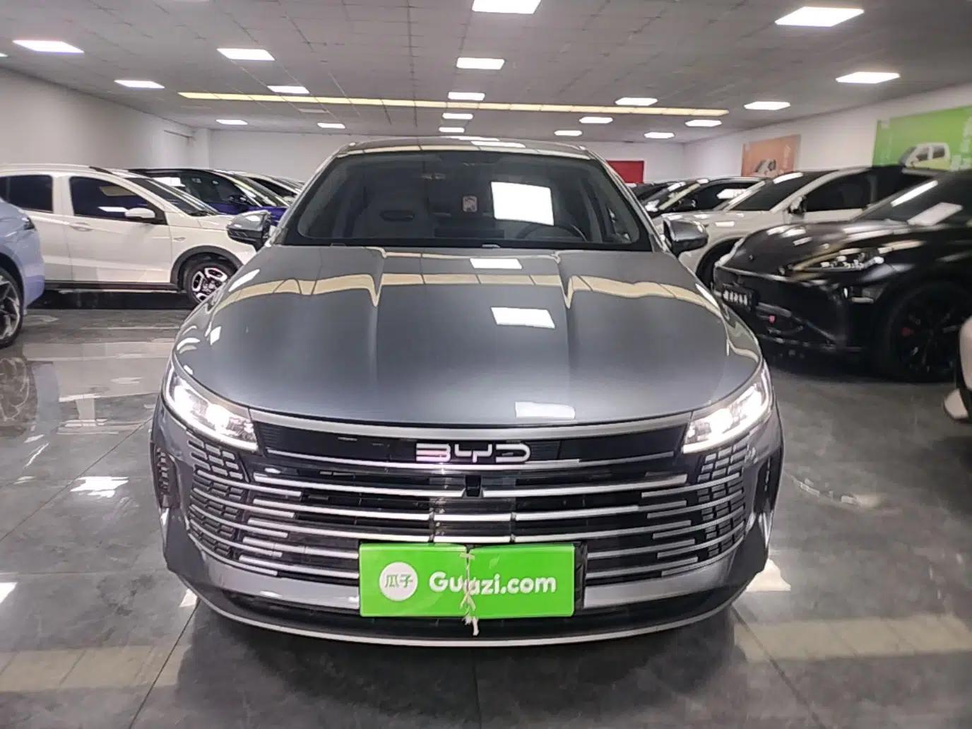 BYD Destroyer 05 2023 Champion Edition DM-i 55KM Luxury Model — миниатюра 2