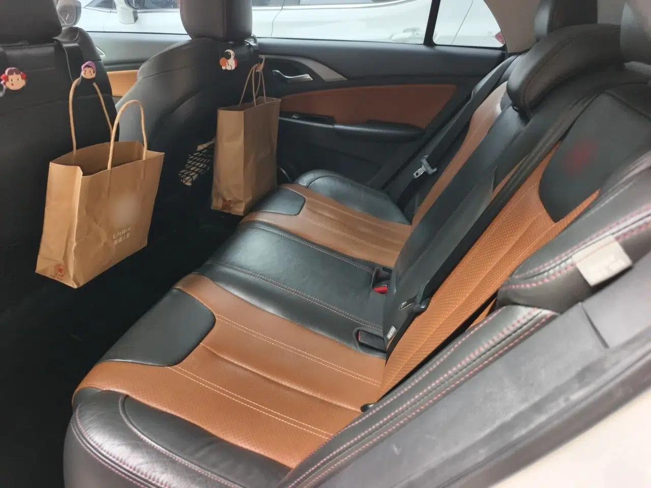 BYD Qin New Energy 2015 1.5T Dual-Crown Flagship Plus Edition — миниатюра 17