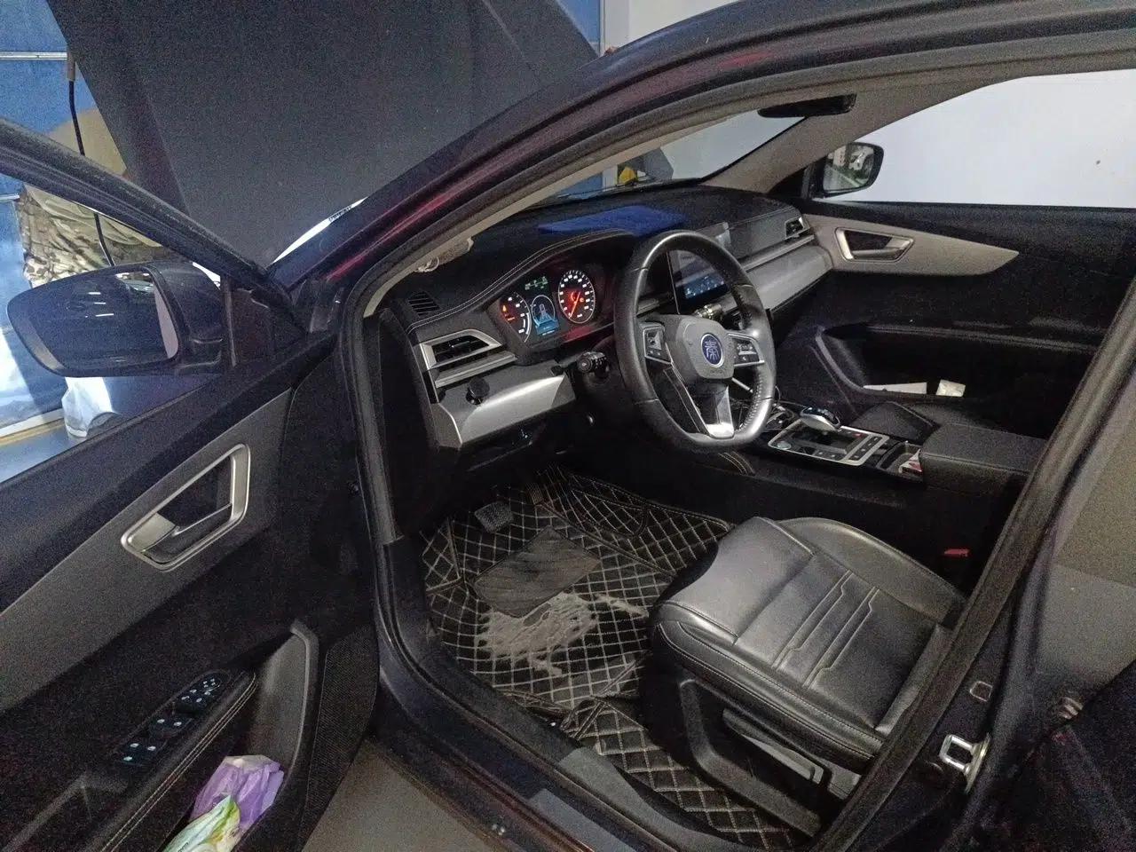 BYD Qin New Energy 2019 High-Range Luxury Model — миниатюра 16