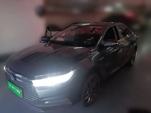 BYD Qin New Energy 2019 High-Range Luxury Model