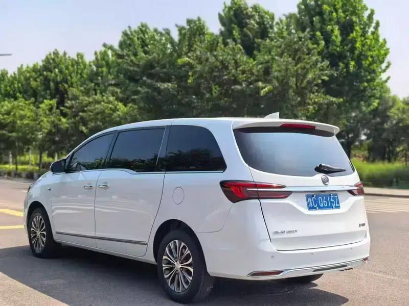 Buick GL8 2020 Land Business Class 652T Luxury — миниатюра 4