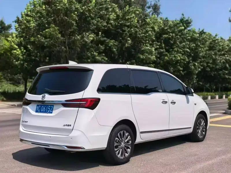 Buick GL8 2020 Land Business Class 652T Luxury — миниатюра 6