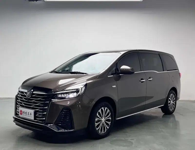 Buick GL8 2023 Land Business Class 2.0T Luxury Edition — миниатюра 1