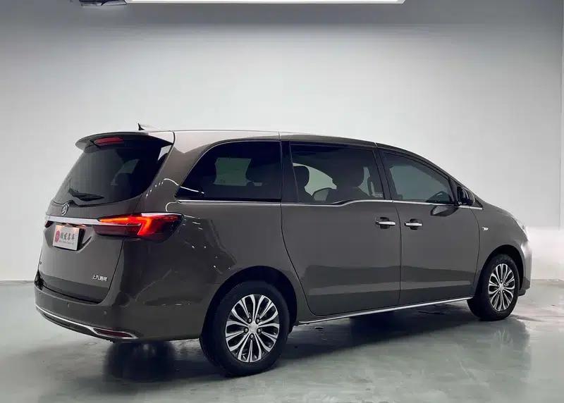 Buick GL8 2023 Land Business Class 2.0T Luxury Edition — миниатюра 4