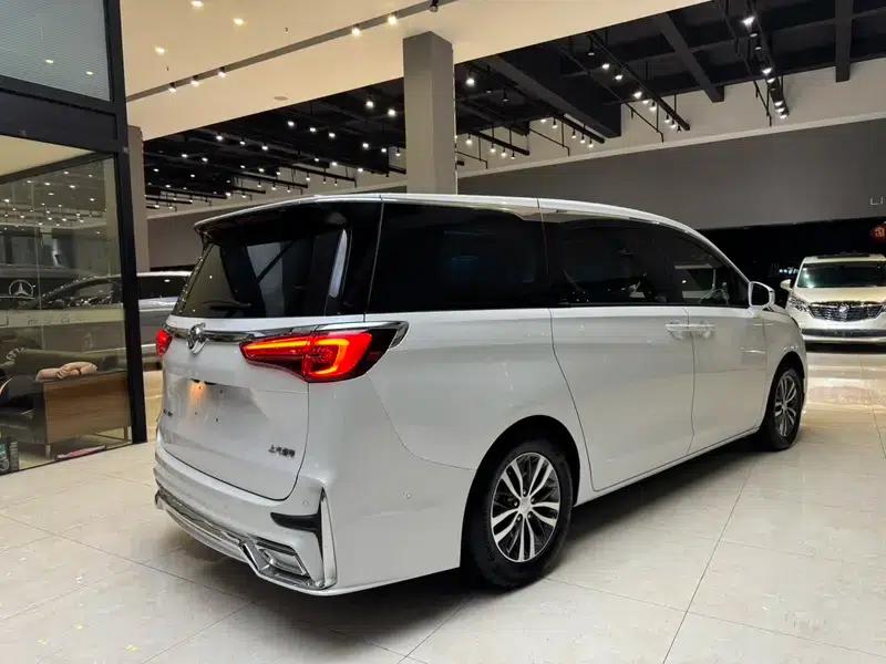 Buick GL8 2021 ES Avantgarde 653T Luxury — миниатюра 6