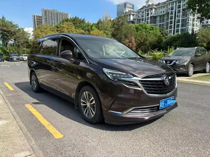 Buick GL8 2021 ES Avantgarde 653T Premium Edition — миниатюра 3