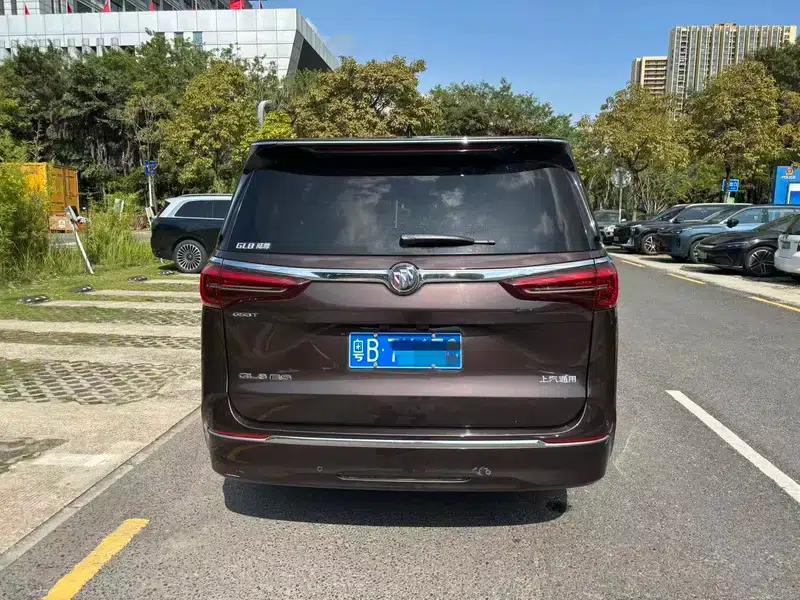 Buick GL8 2021 ES Avantgarde 653T Premium Edition — миниатюра 5