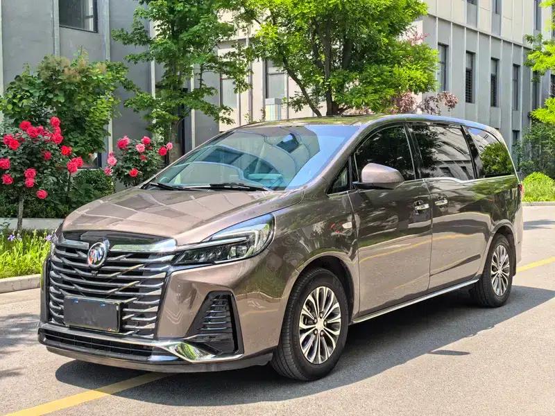 Buick GL8 2023 Land Business Class 2.0T Luxury Edition — миниатюра 12