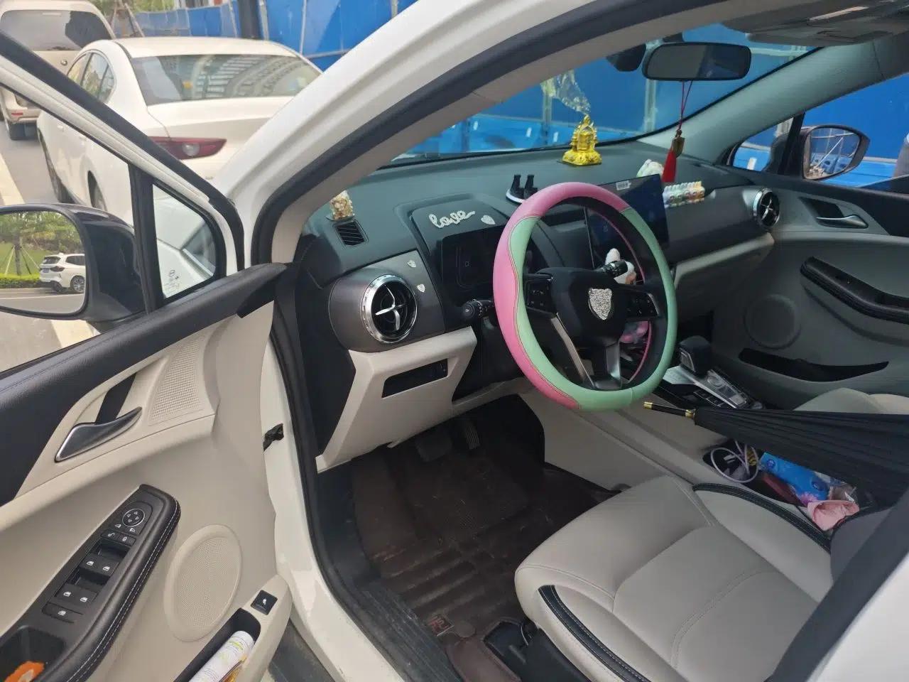 BYD Yuan Pro 2021 401 km Luxury Version — миниатюра 16