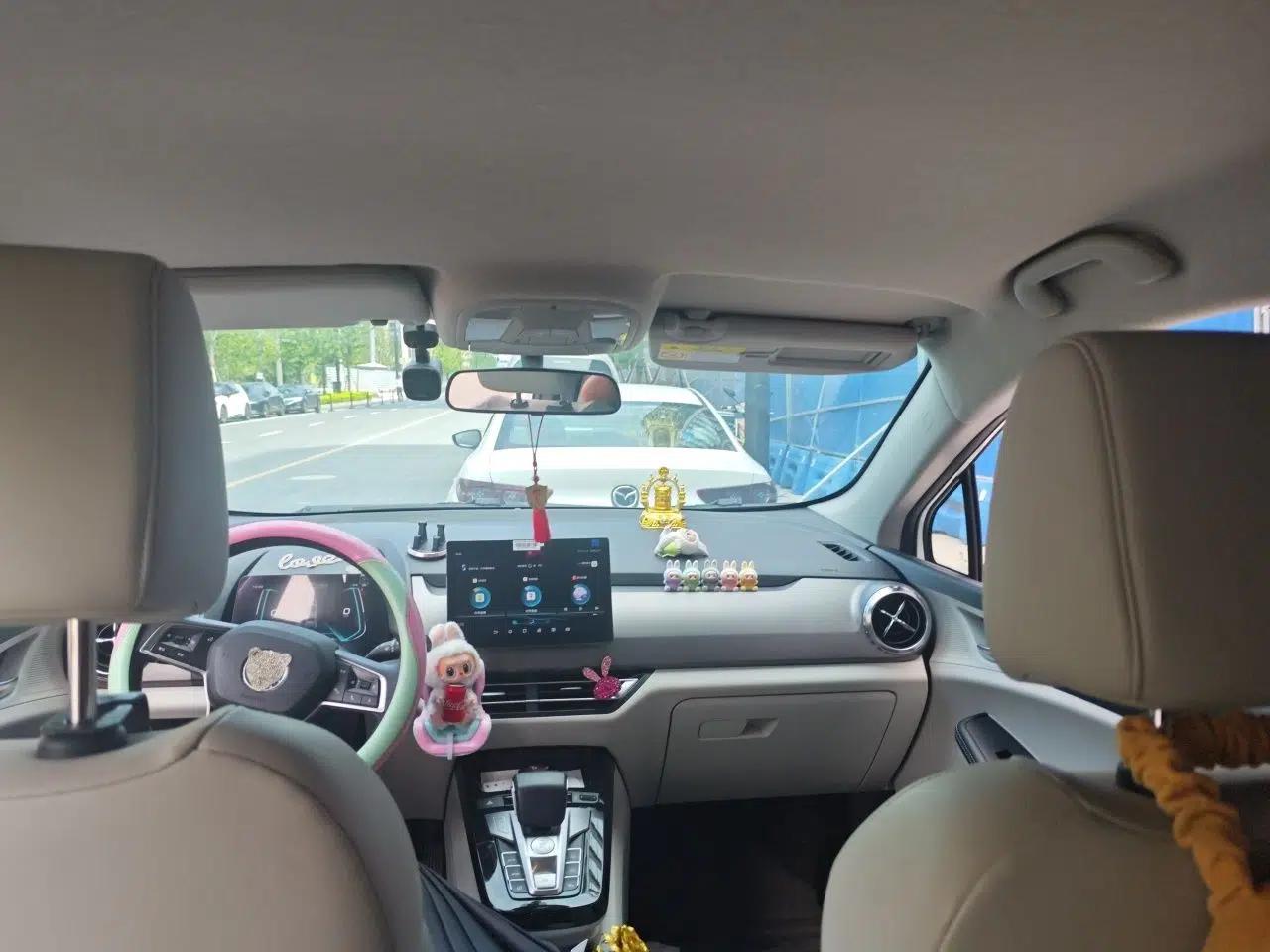BYD Yuan Pro 2021 401 km Luxury Version — миниатюра 18