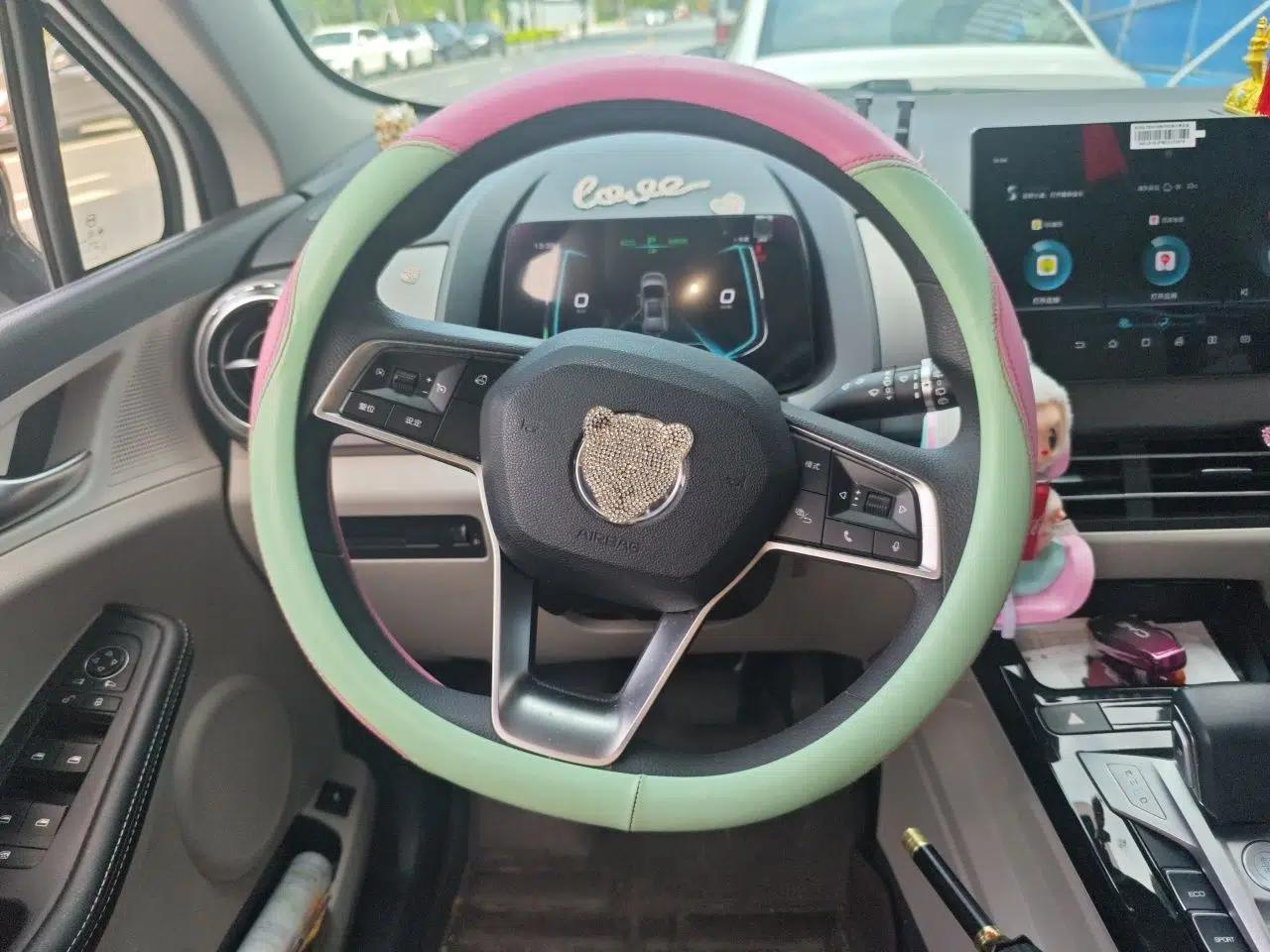 BYD Yuan Pro 2021 401 km Luxury Version — миниатюра 10
