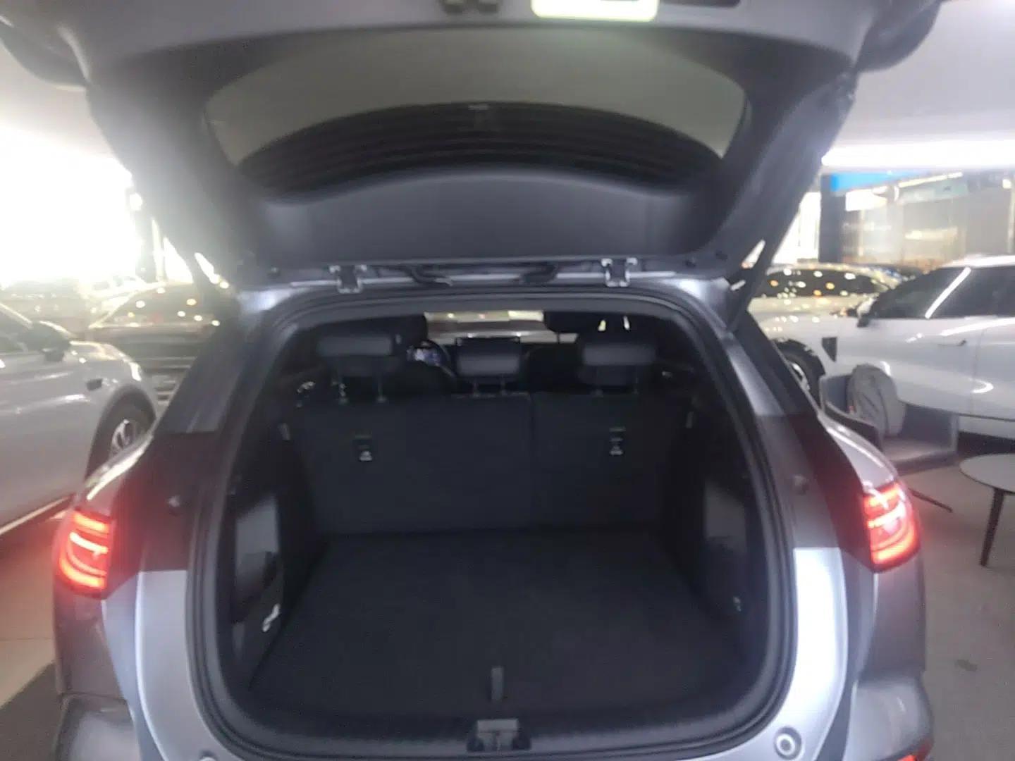BYD Sealion 06 New Energy 2025 Model DM-i 170 Navigation Pro Edition — миниатюра 22