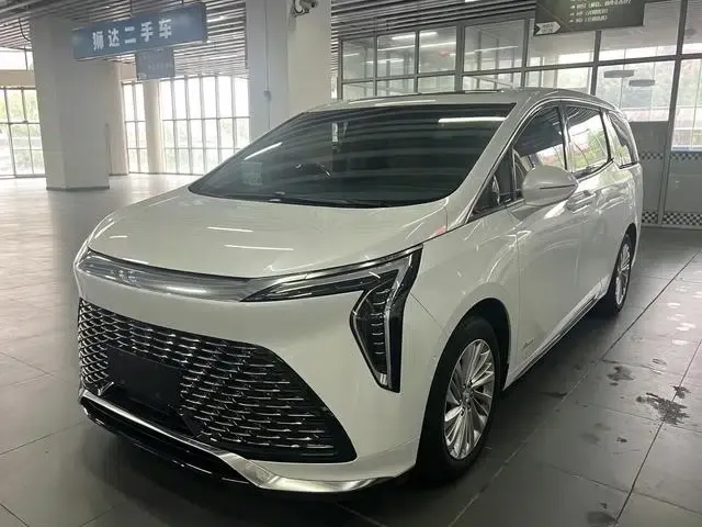 Century 2025 2.0T Six-Seat Luxury Edition