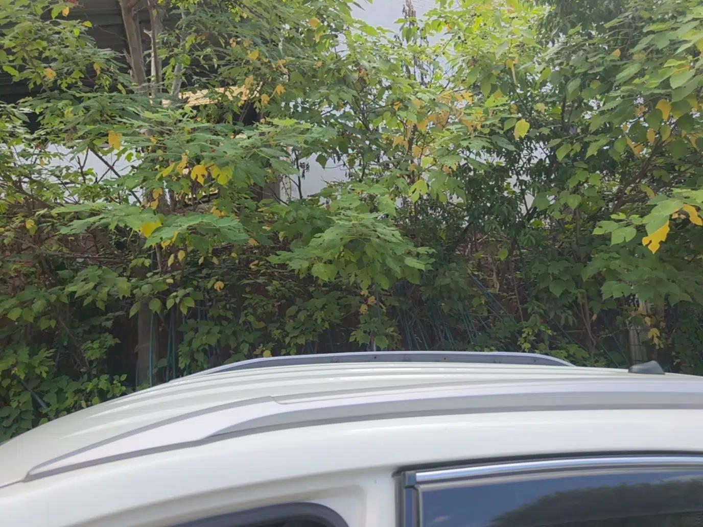 BYD Yuan 2016 1.5L Automatic Haoya Model — миниатюра 7