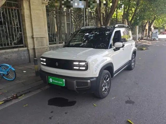 Baojun Spark EUV 2026 Model 501km Flagship Edition