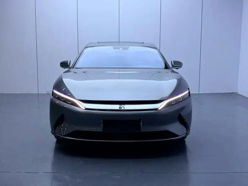 Han EV 2020 Extended Range Luxury Edition — миниатюра 2