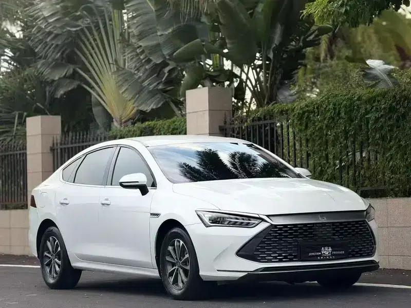 Qin PLUS DM 2021 DM-i 55KM Premium Edition — миниатюра 3