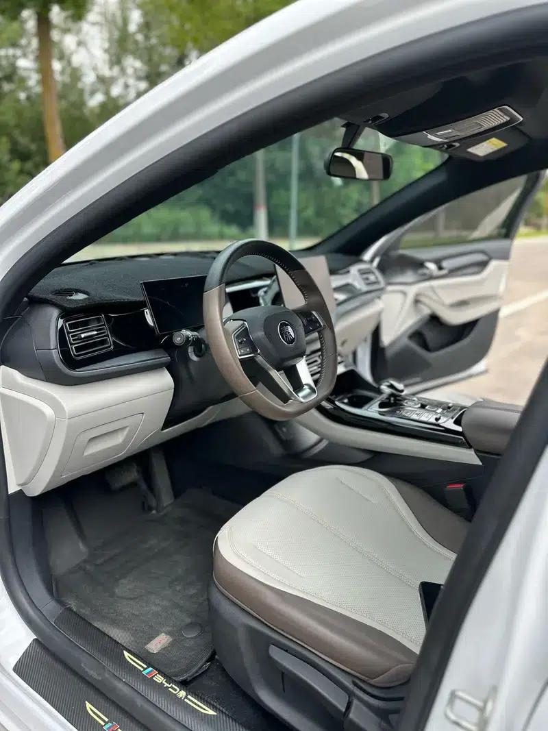 Qin PLUS DM 2024 Glory Edition DM-i 55KM Leading Model — миниатюра 9