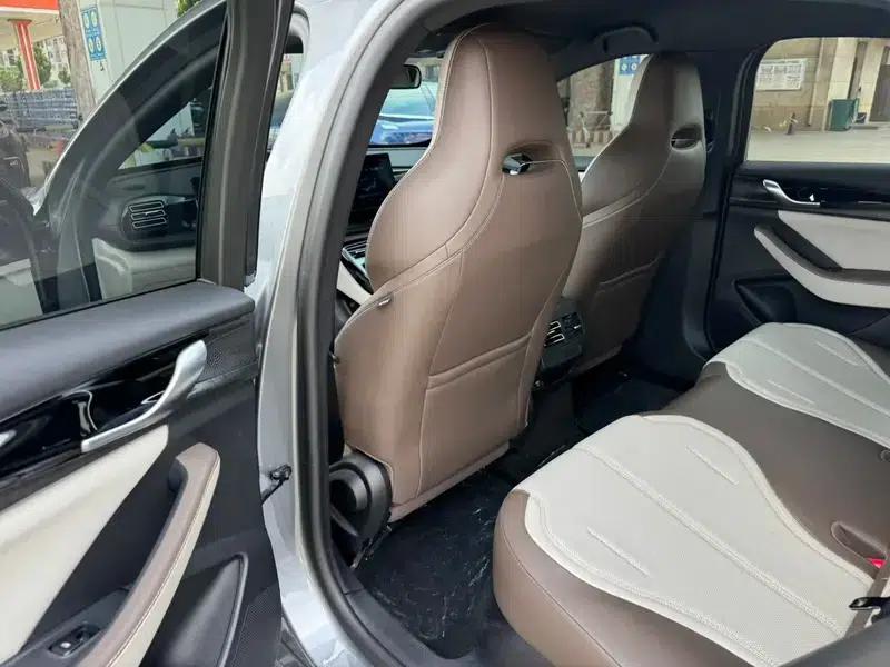 Qin PLUS DM 2024 Glory Edition DM-i 55KM Leading Model — миниатюра 14