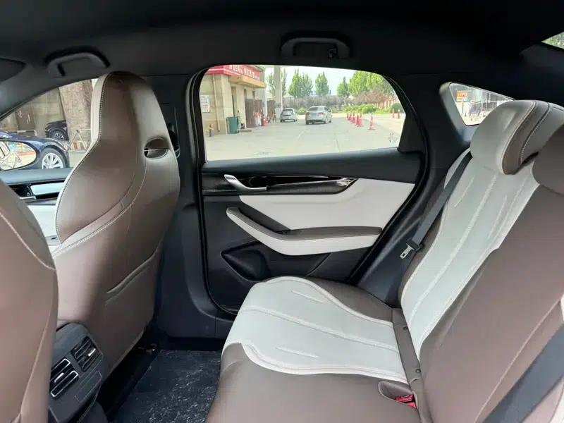 Qin PLUS DM 2024 Glory Edition DM-i 55KM Leading Model — миниатюра 15