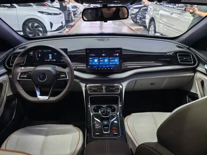 Qin PLUS DM 2023 DM-i Champion Edition 120KM Leading Model — миниатюра 10