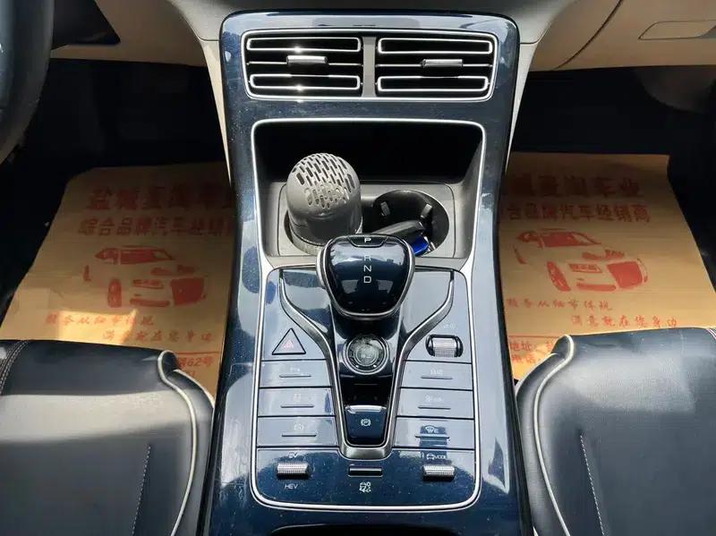 Qin PLUS DM 2021 DM-i 120KM Premium Edition — миниатюра 11