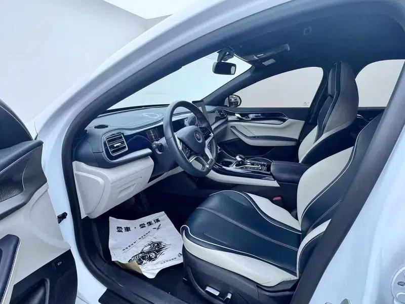 Qin PLUS EV 2021 500KM Premium Edition — миниатюра 8