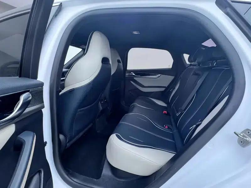Qin PLUS EV 2021 500KM Premium Edition — миниатюра 9