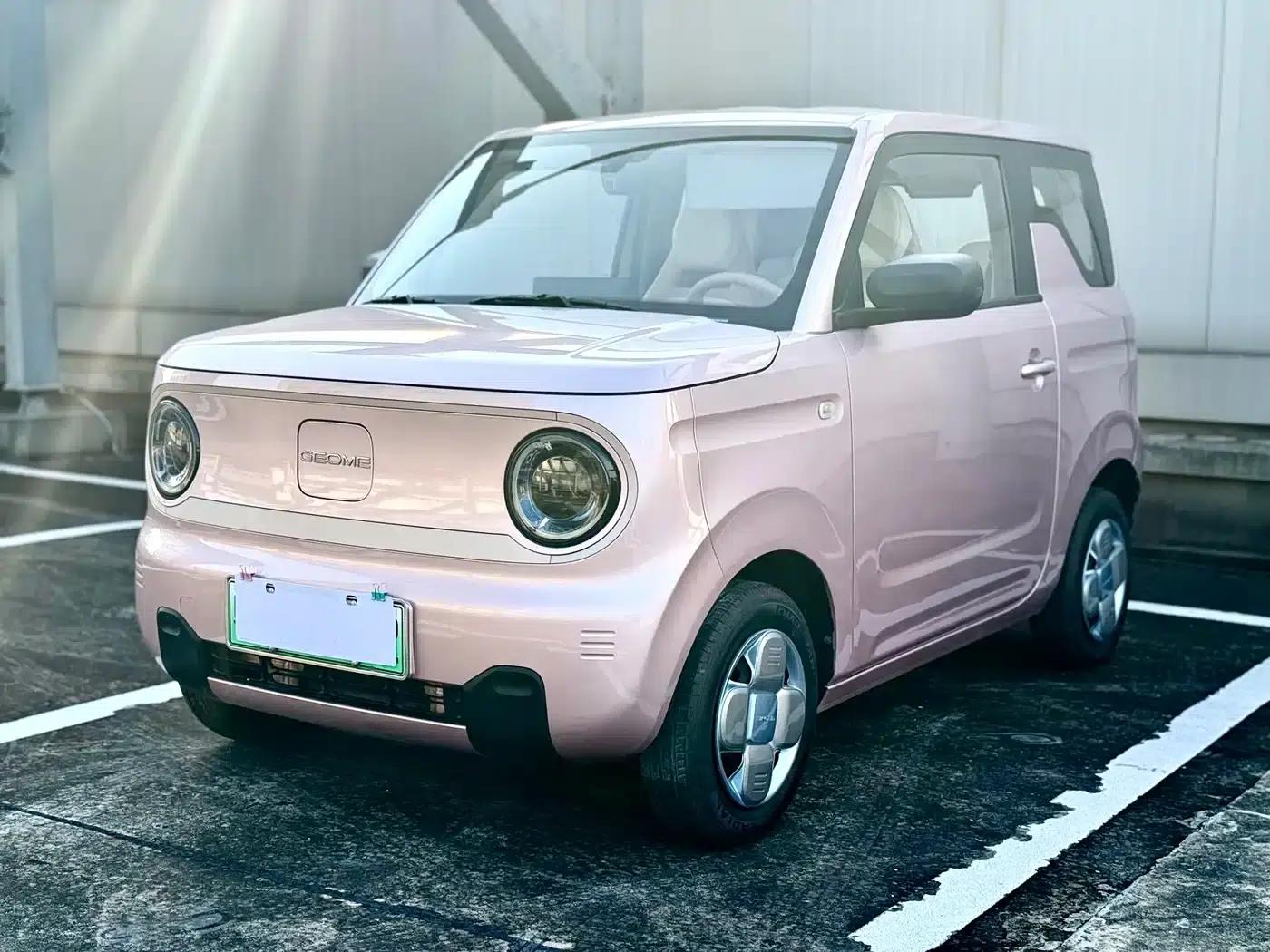 Panda 2023 Panda Mini 200km Endurance Bear — миниатюра 1