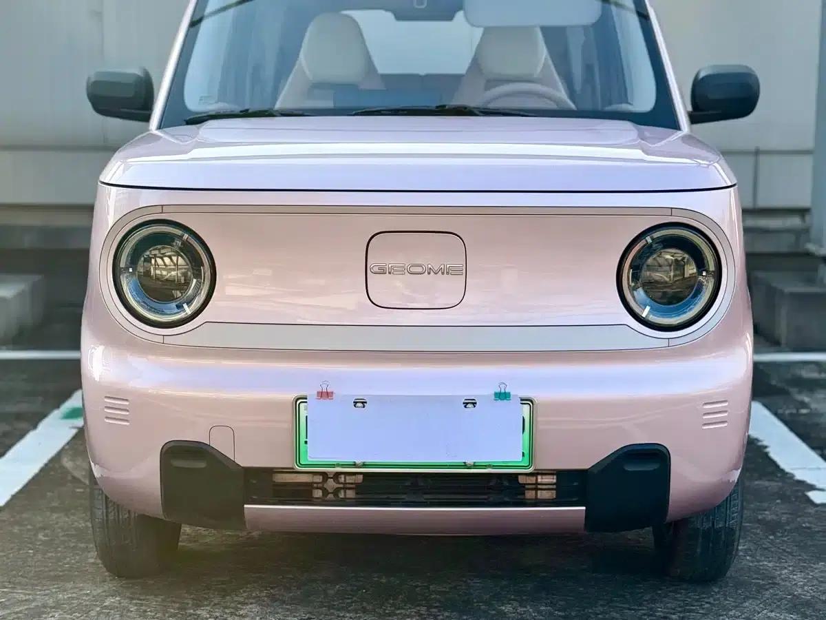 Panda 2023 Panda Mini 200km Endurance Bear — миниатюра 2