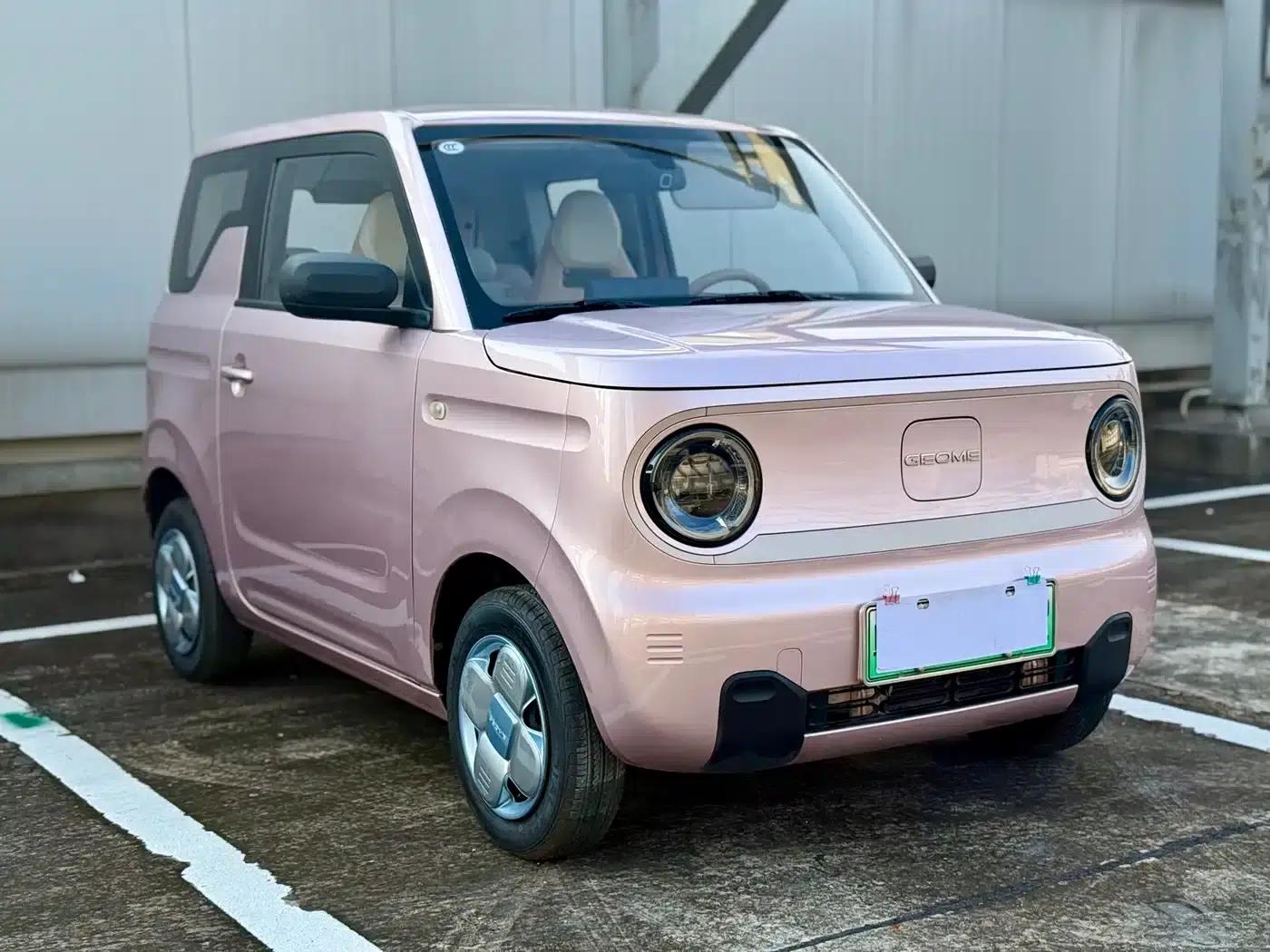 Panda 2023 Panda Mini 200km Endurance Bear — миниатюра 3
