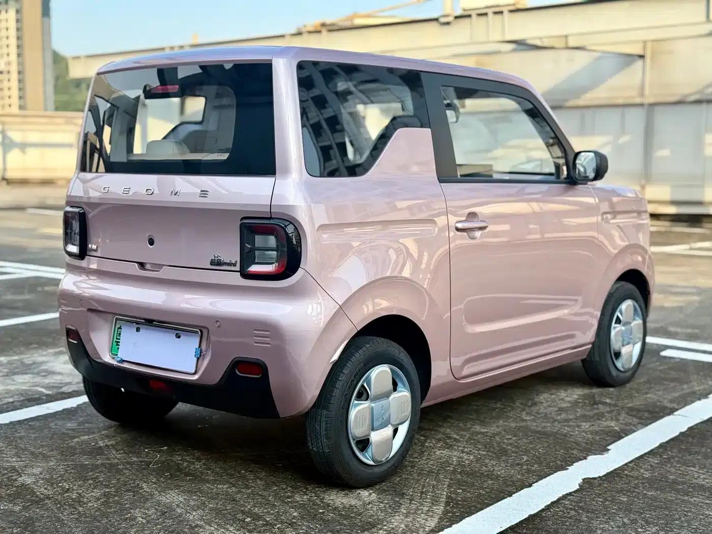Panda 2023 Panda Mini 200km Endurance Bear — миниатюра 7